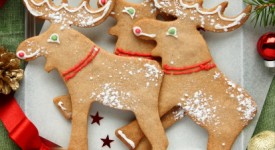 Dolci Natale ricette facili foto